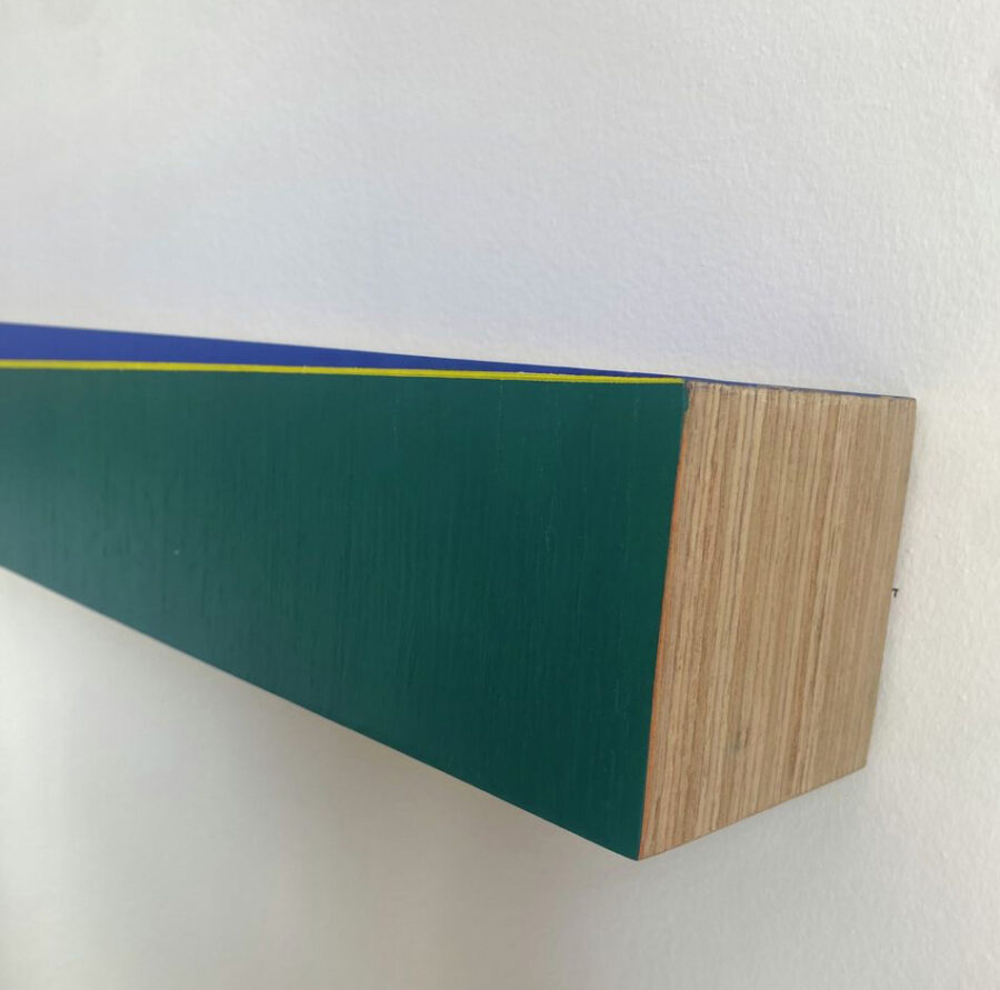 Bloque Verdeazul , 2021