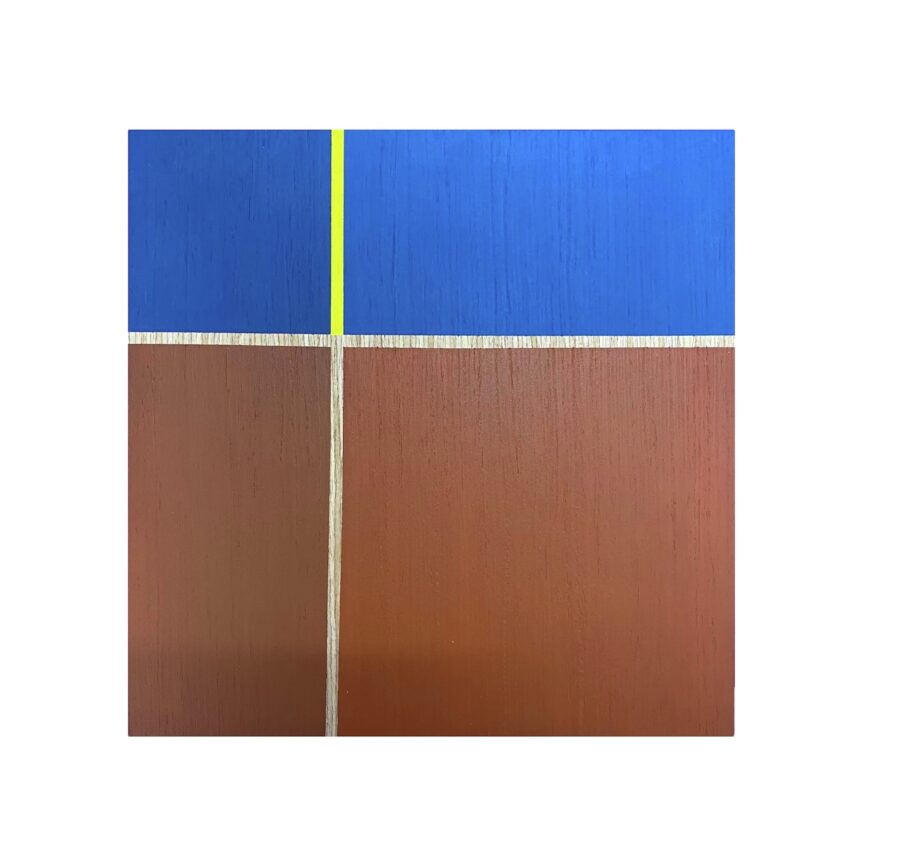 Mónica Negret Coral y Amarillo