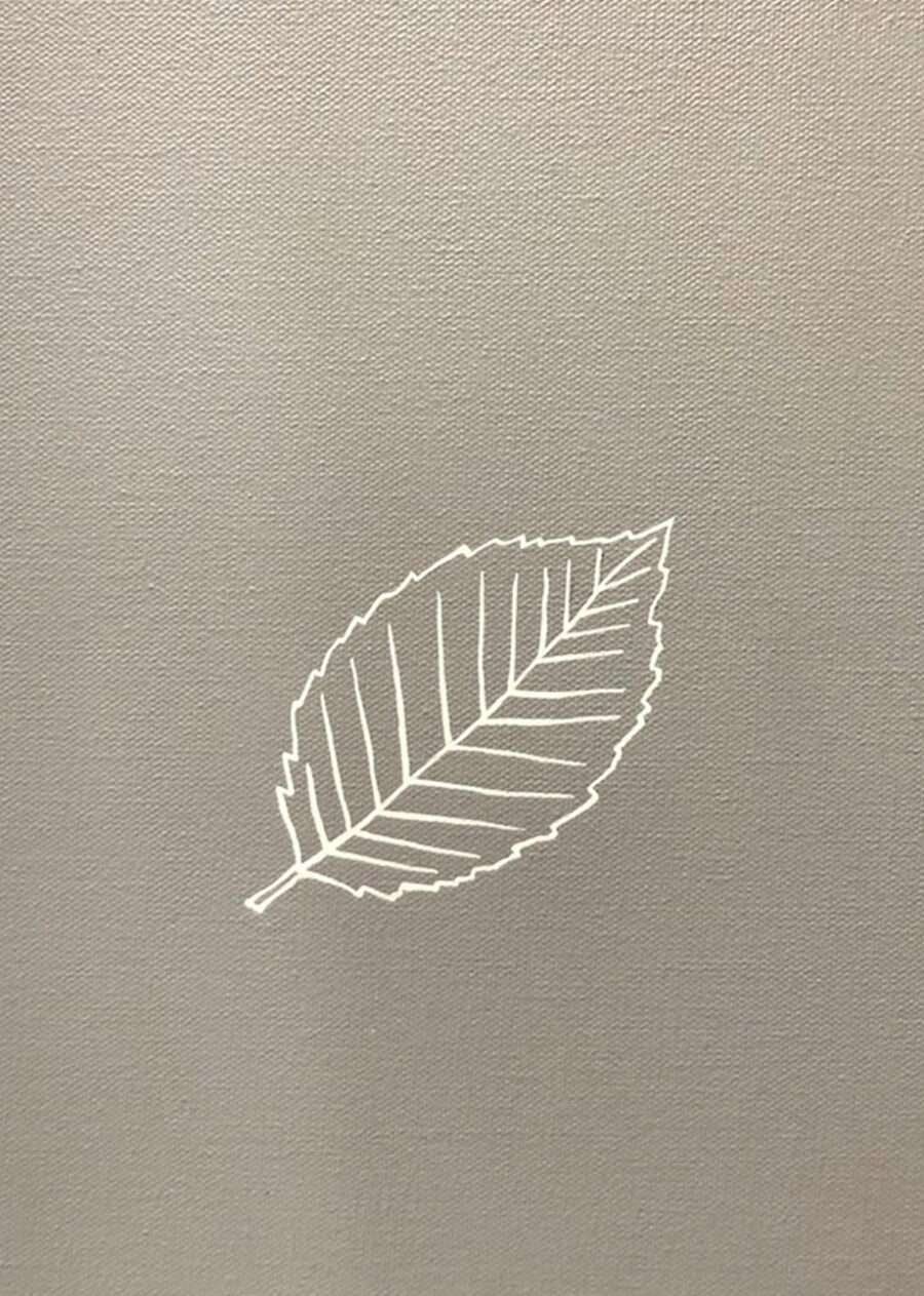 Alfabeto "Hoja" , 2022