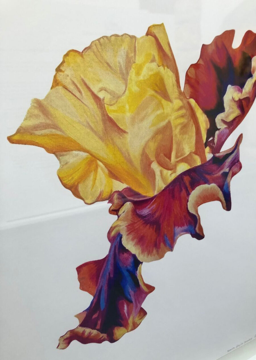 Maria Paula Suárez What you think , 2022