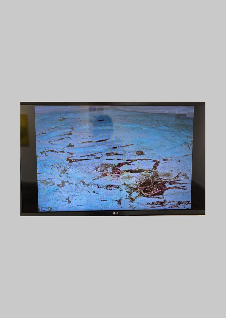Landscape , 2021 - Image 4