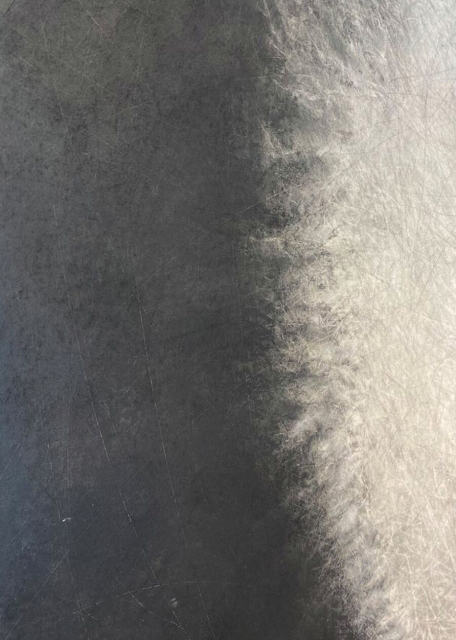 Johanna Arenas Memoria , 2014