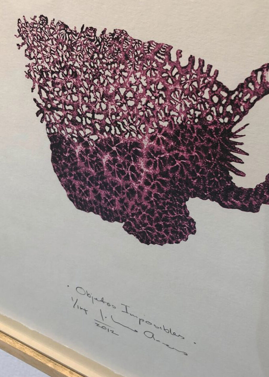 Johanna Arenas Objetos Imposibles III , 2012