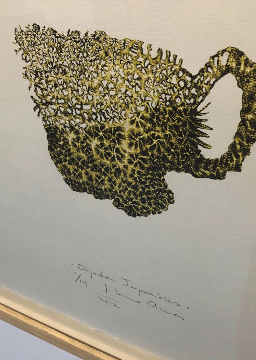 Johanna Arenas Objetos Imposibles VI , 2012