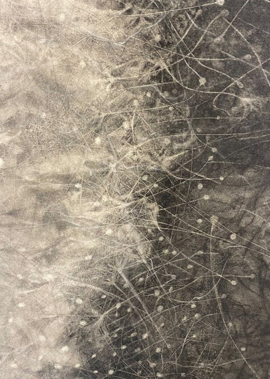 Johanna Arenas Memoria , 2014