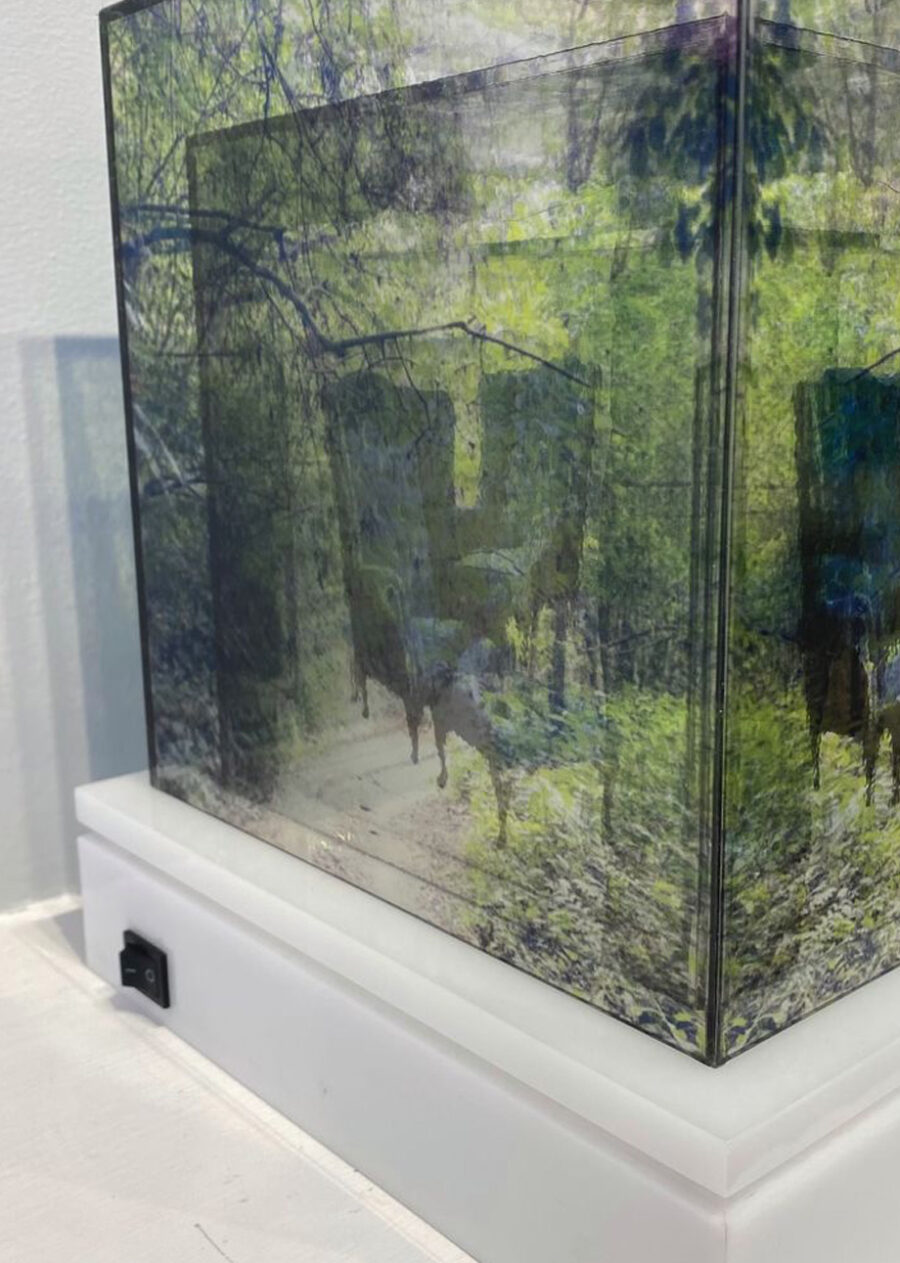 Giselle Borrás Habitáculos No.4 , 2022